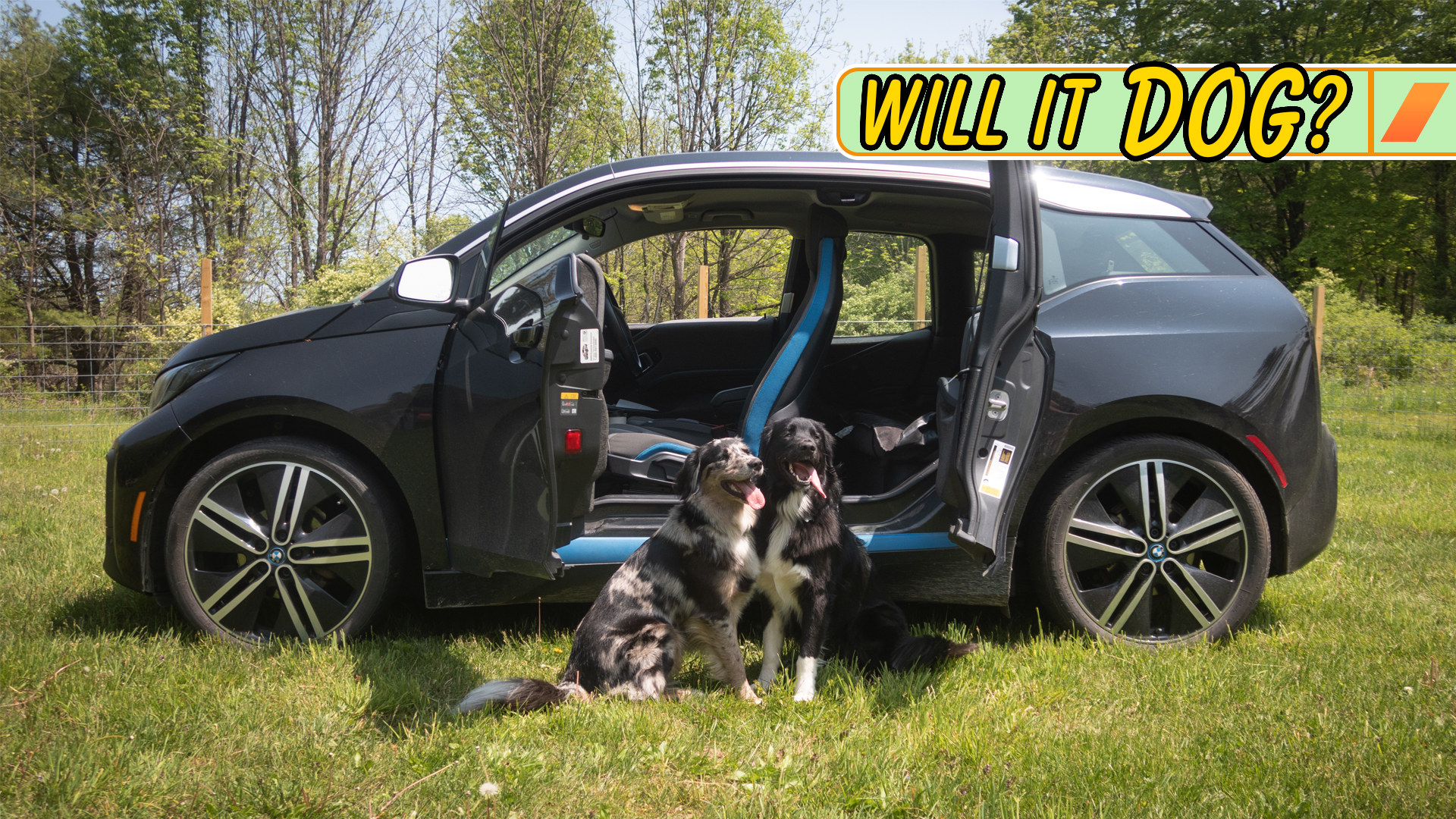 https://www.thedrive.com/uploads/2023/05/18/BMW-i3-Review-For-Dog-Owners.jpg?auto=webp&crop=16%3A9&auto=webp&optimize=high&quality=70&width=1440