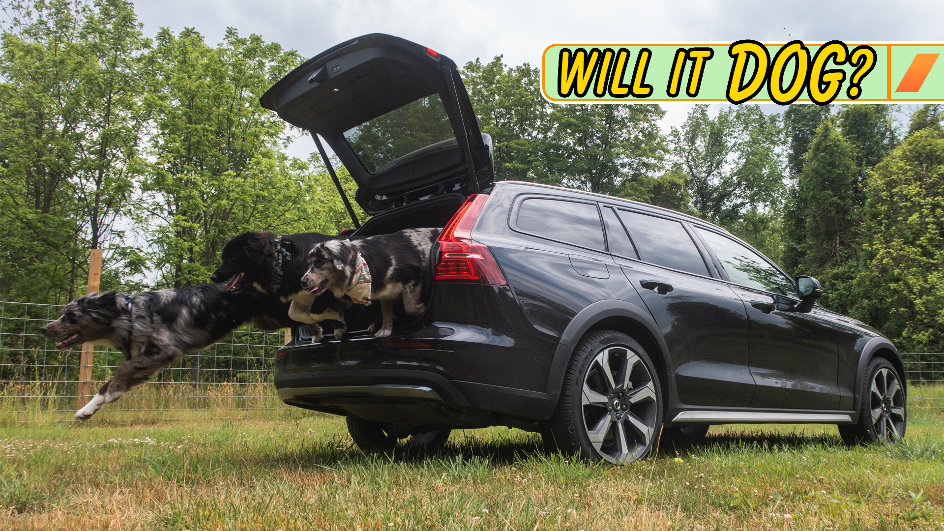 Is the 2023 Volvo V60 CC a Good Car for Dog Owners?