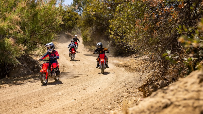 Best Pit Bikes: Affordable Adrenaline on Tap