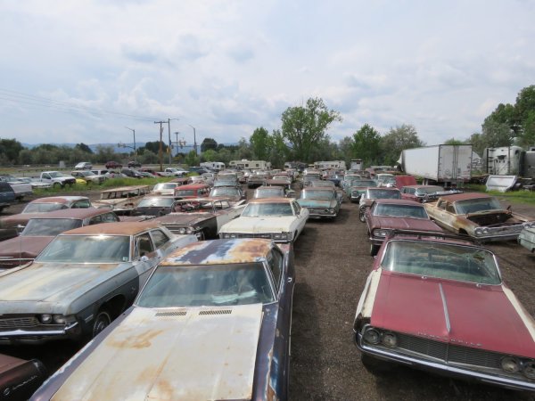 Hundreds of Classic American Cars Are Heading to Auction