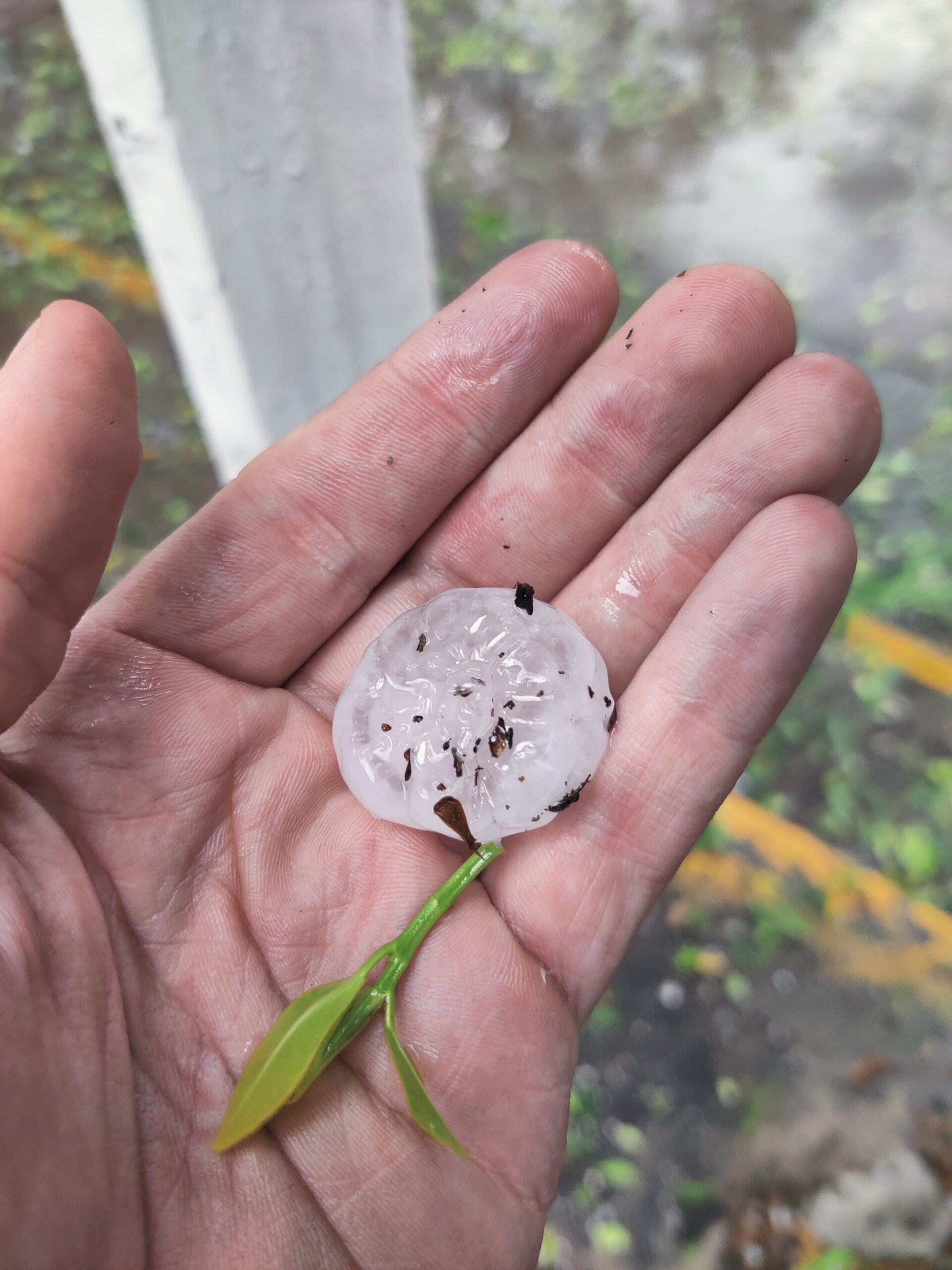 Hail Storm