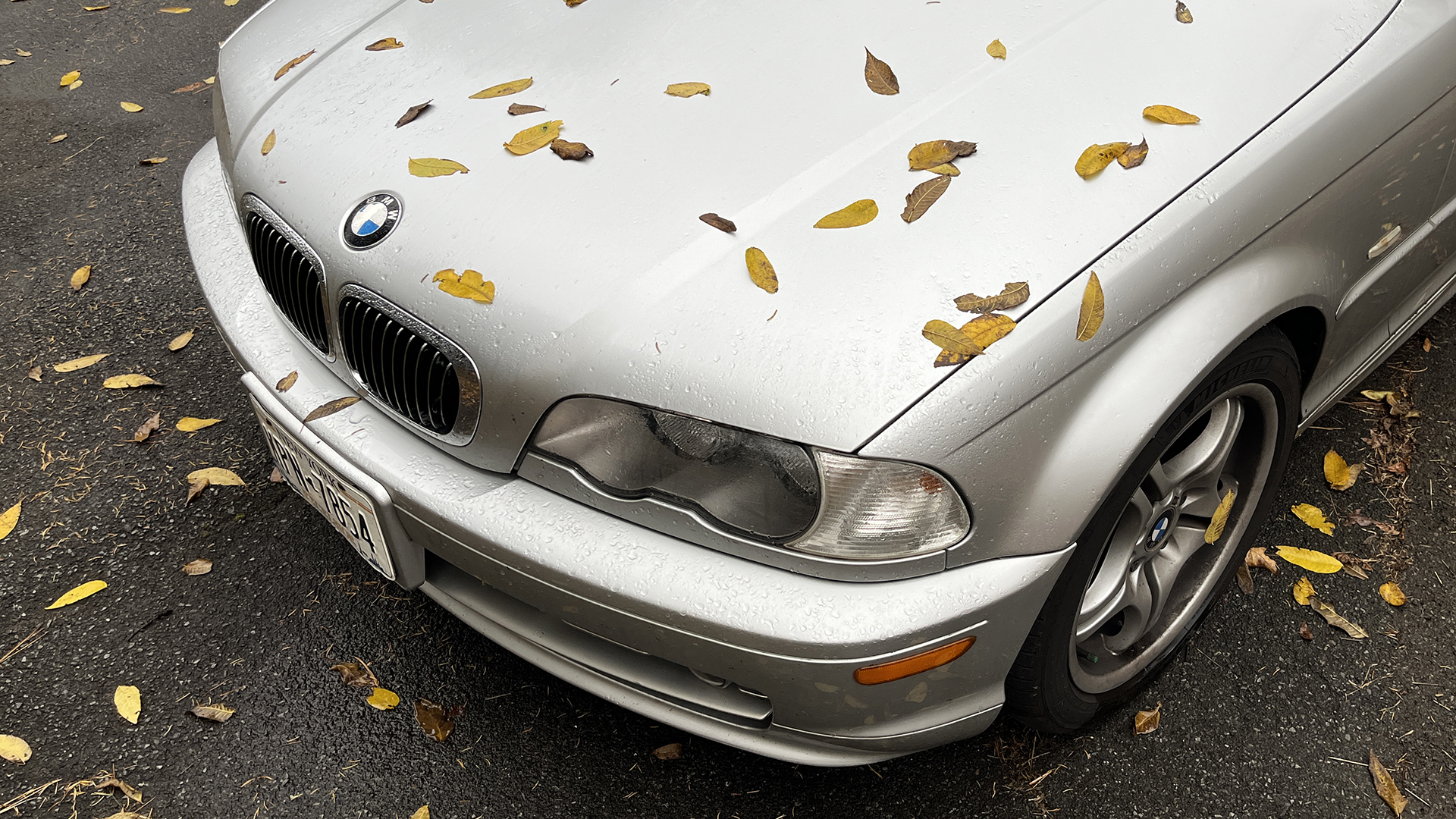 Andrew collins e46 bmw 3 series fall autumn