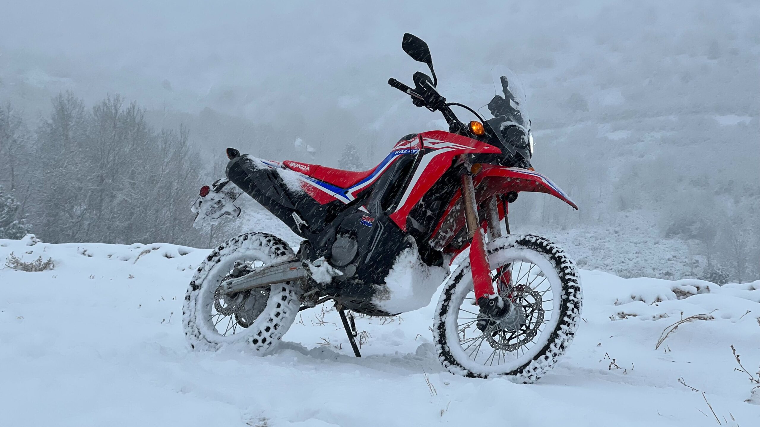 Honda CRF300L Rally