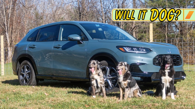 2023 Honda CR-V: Will It Dog?