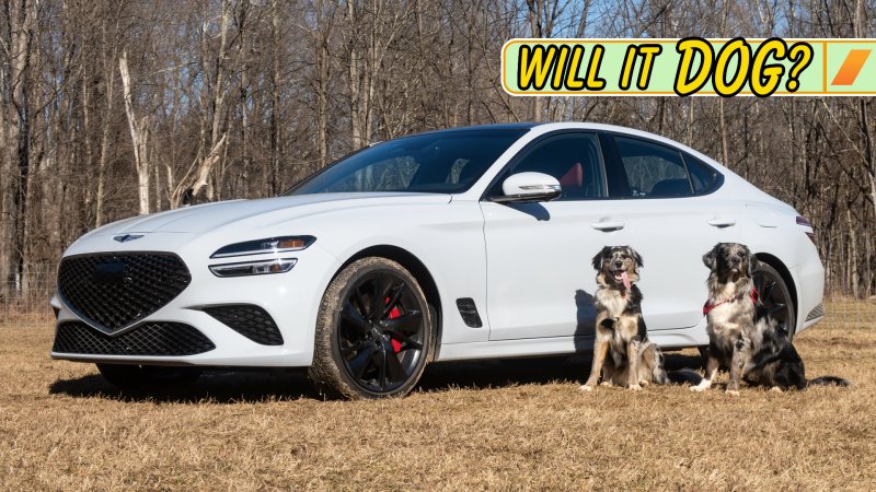 2023 Genesis G70 Review: Will It Dog?