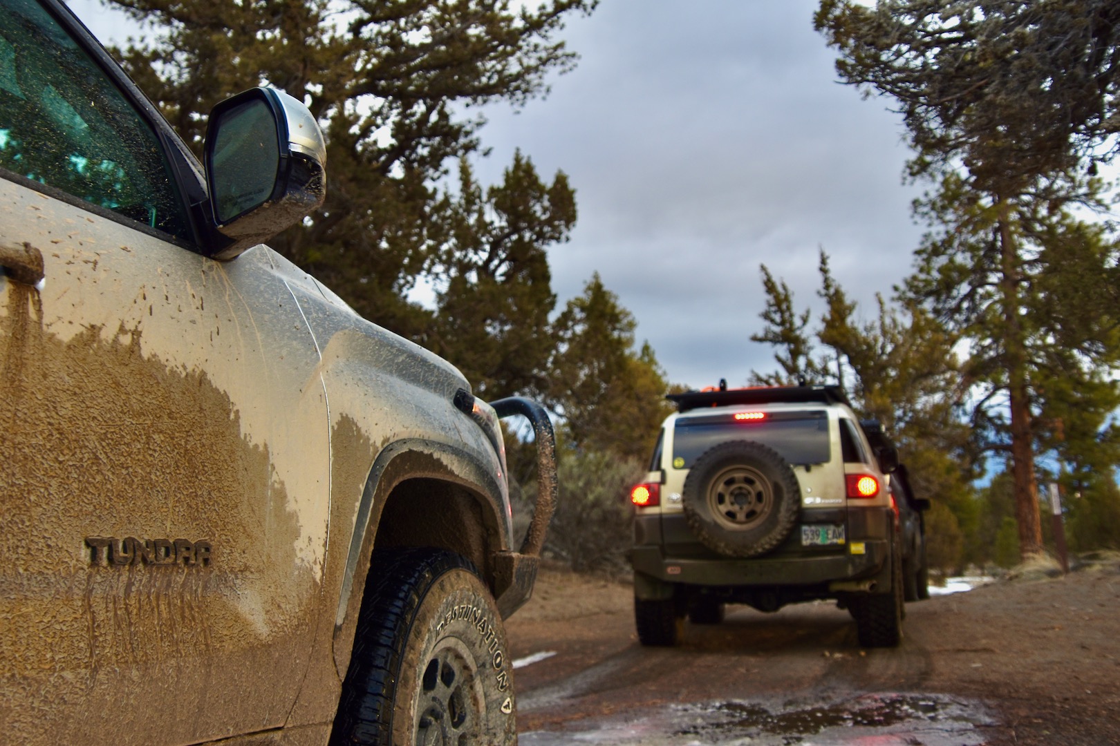 A Toyota Tundra and FJ Cruiser at the entrance to a forest