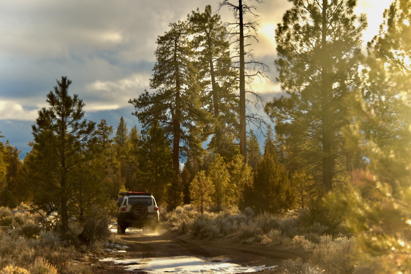 A Toyota FJ Cruiser in a forest at sunset