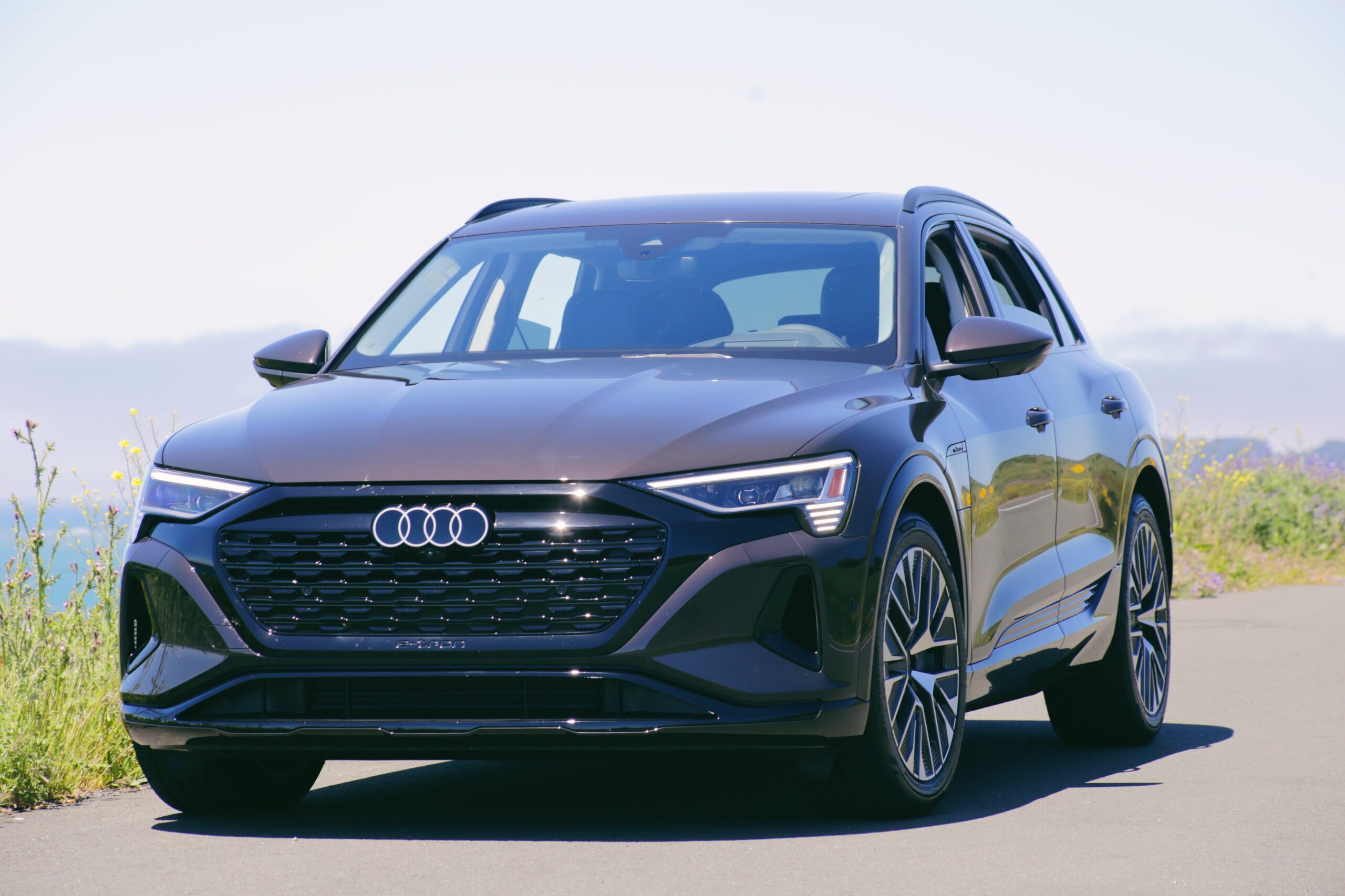 2024 Audi Q8 e-tron Sportback and SUV