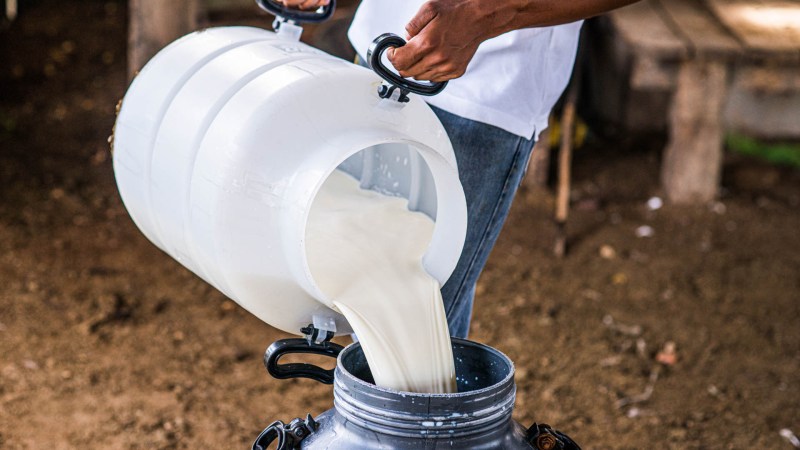 Your Next Tank of Gas Could Have Milk Byproducts in It