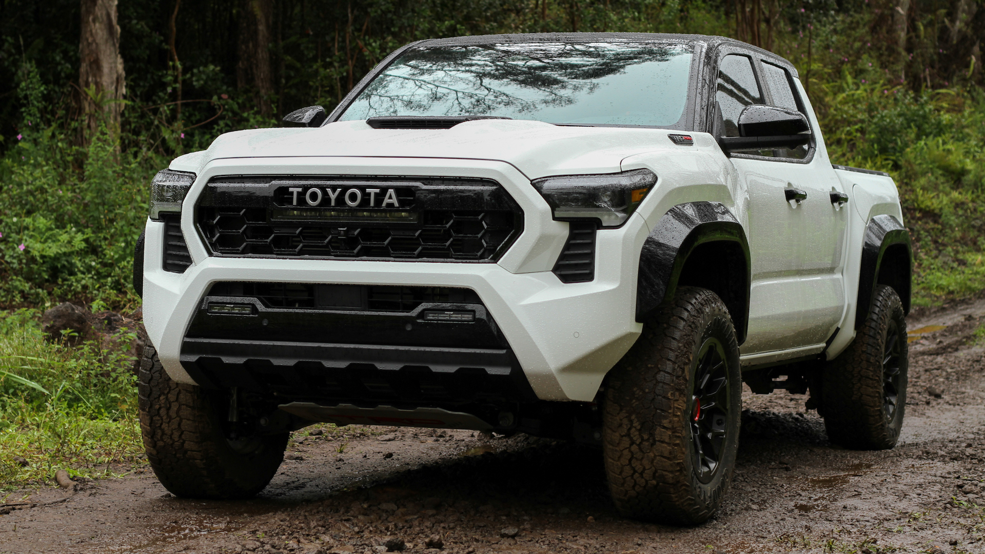 2024 Toyota Tacoma TRD Pro