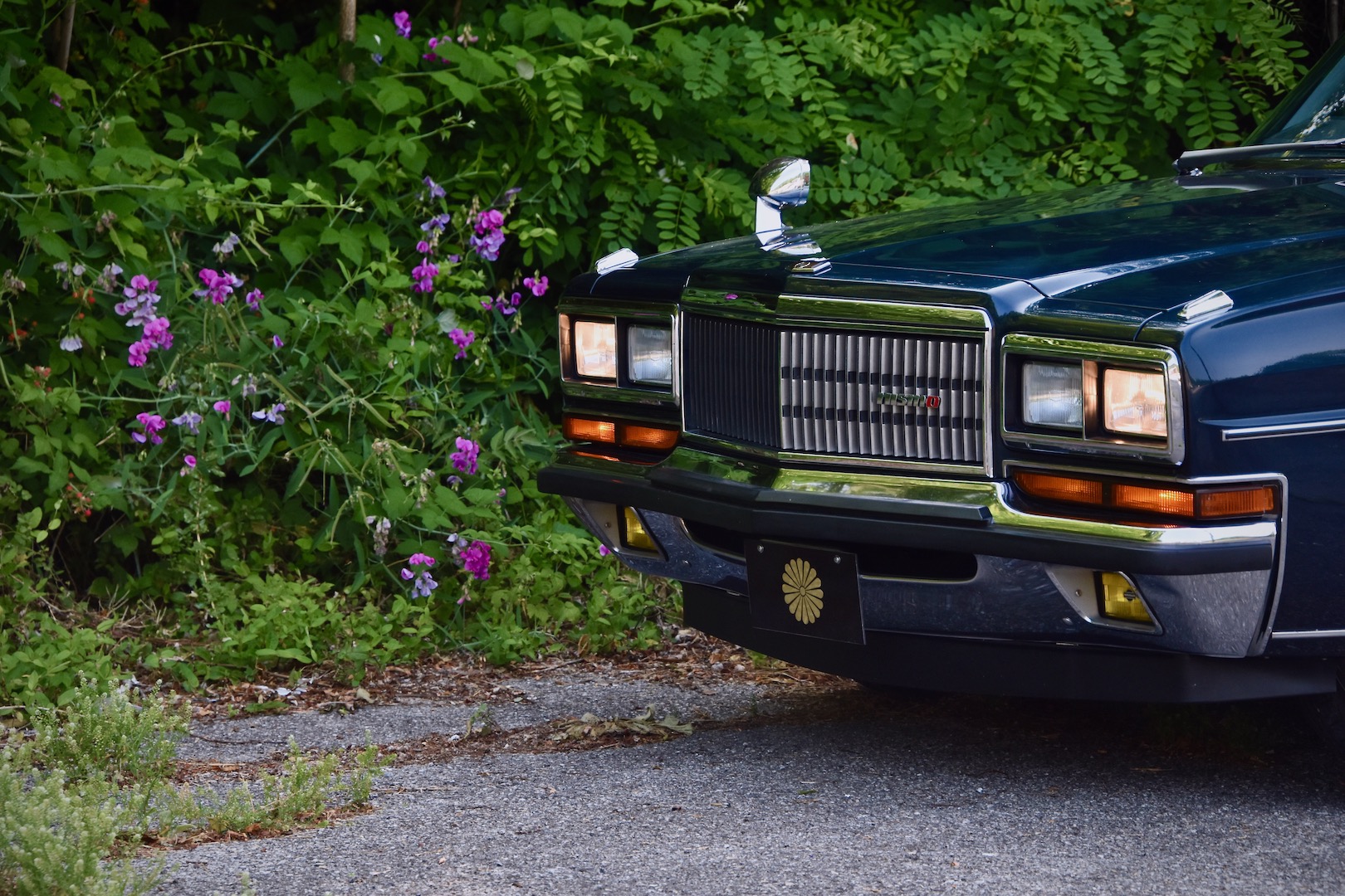 1989 Nissan President front bumper