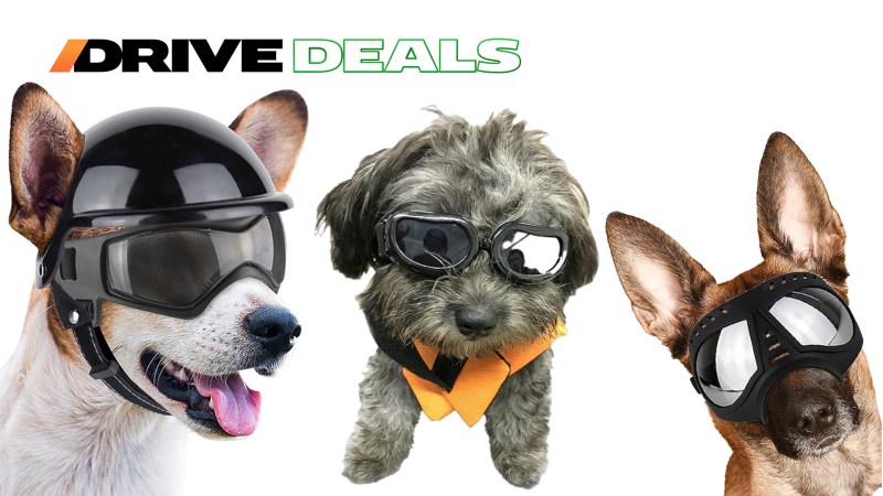 Keep Your K9 Copilot’s Eyes Safe While Driving With These Dog Goggle Deals
