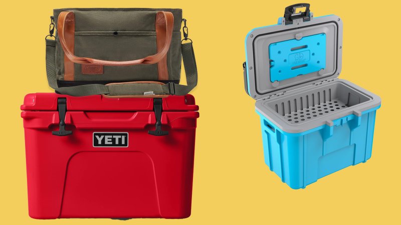 Best Coolers For Road Trips: Everything Is Better With Snacks