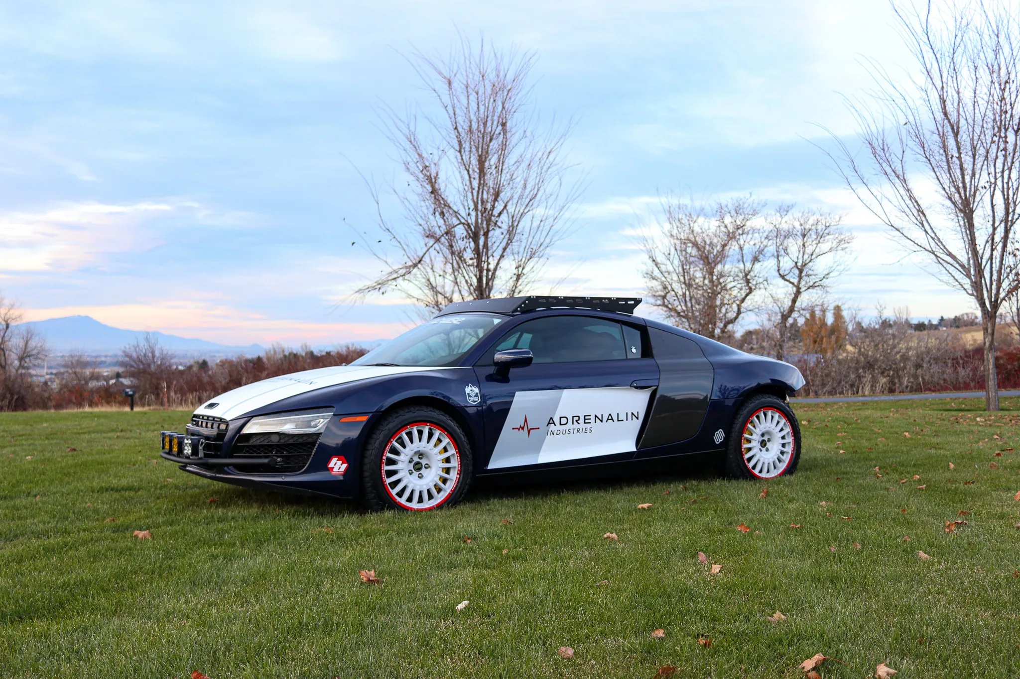 Safari Rally-inspired 2014 Audi R8