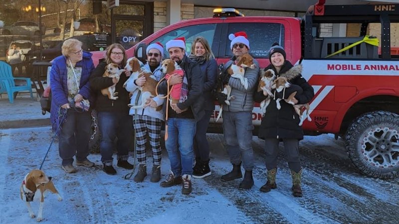 Auto Journalists Unite to Rescue 12 Dogs Just in Time for the Holidays