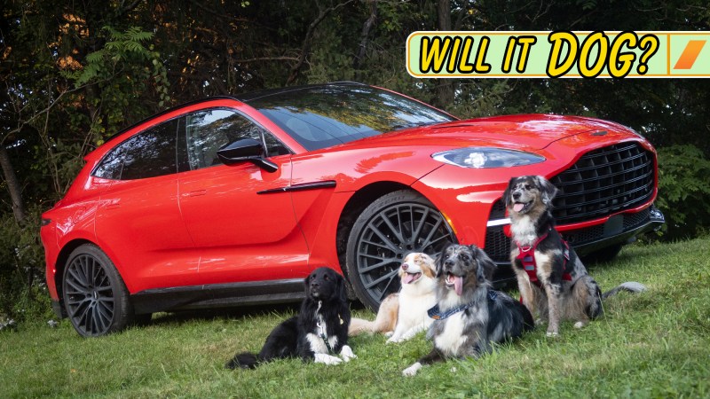 2023 Honda CR-V: Will It Dog?