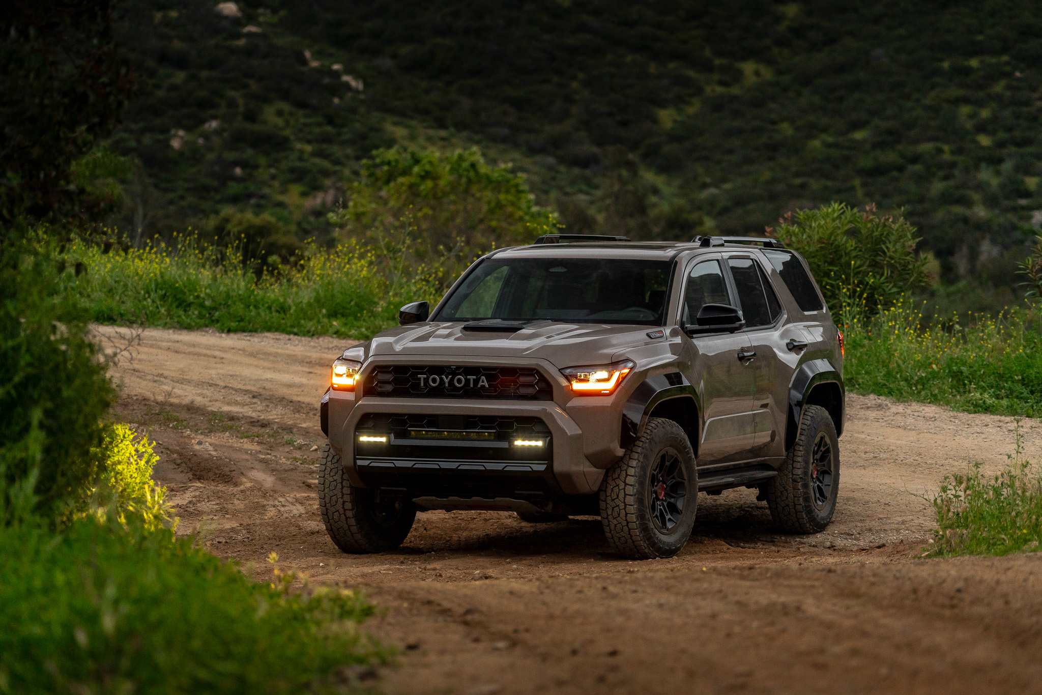 2025 Toyota 4Runner Fuel Economy: The Hybrid Is Worse on the Highway