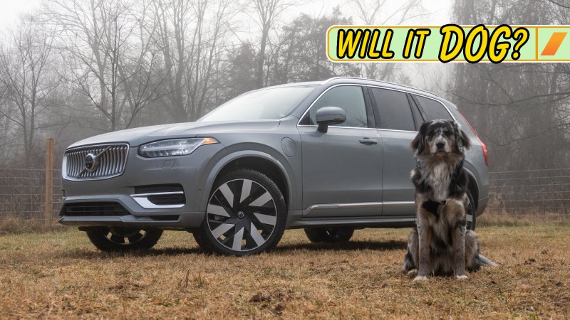 2024 Volvo XC90 Recharge: Will It Dog?