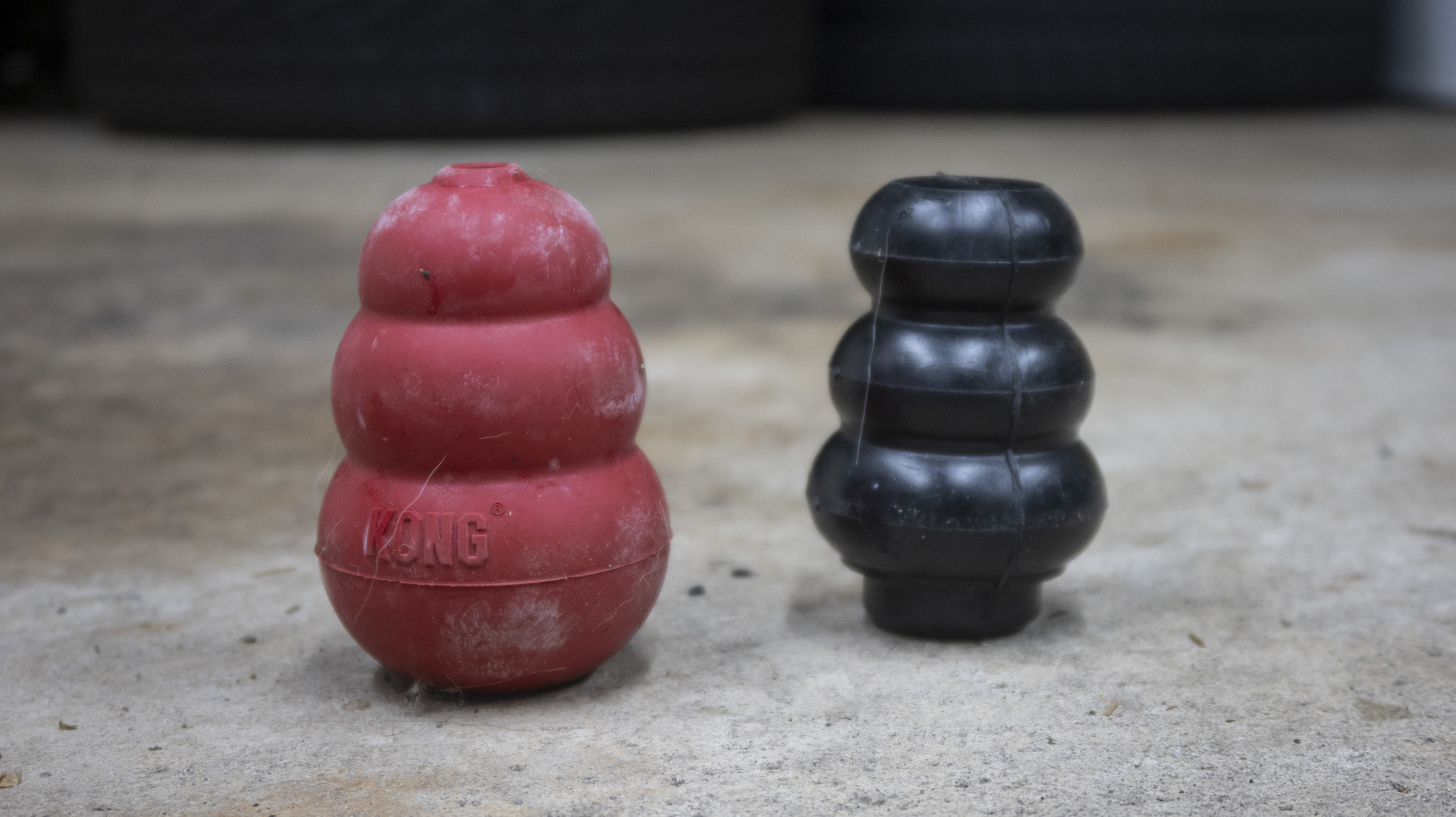 The Kong Dog Toy Brand Was Built From One Cheap Car Part