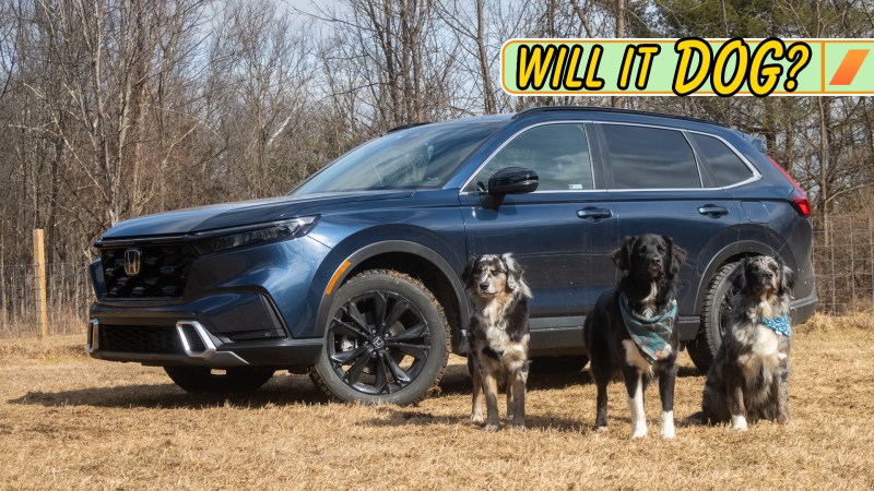 A new Honda CR-V being road tested by dogs.