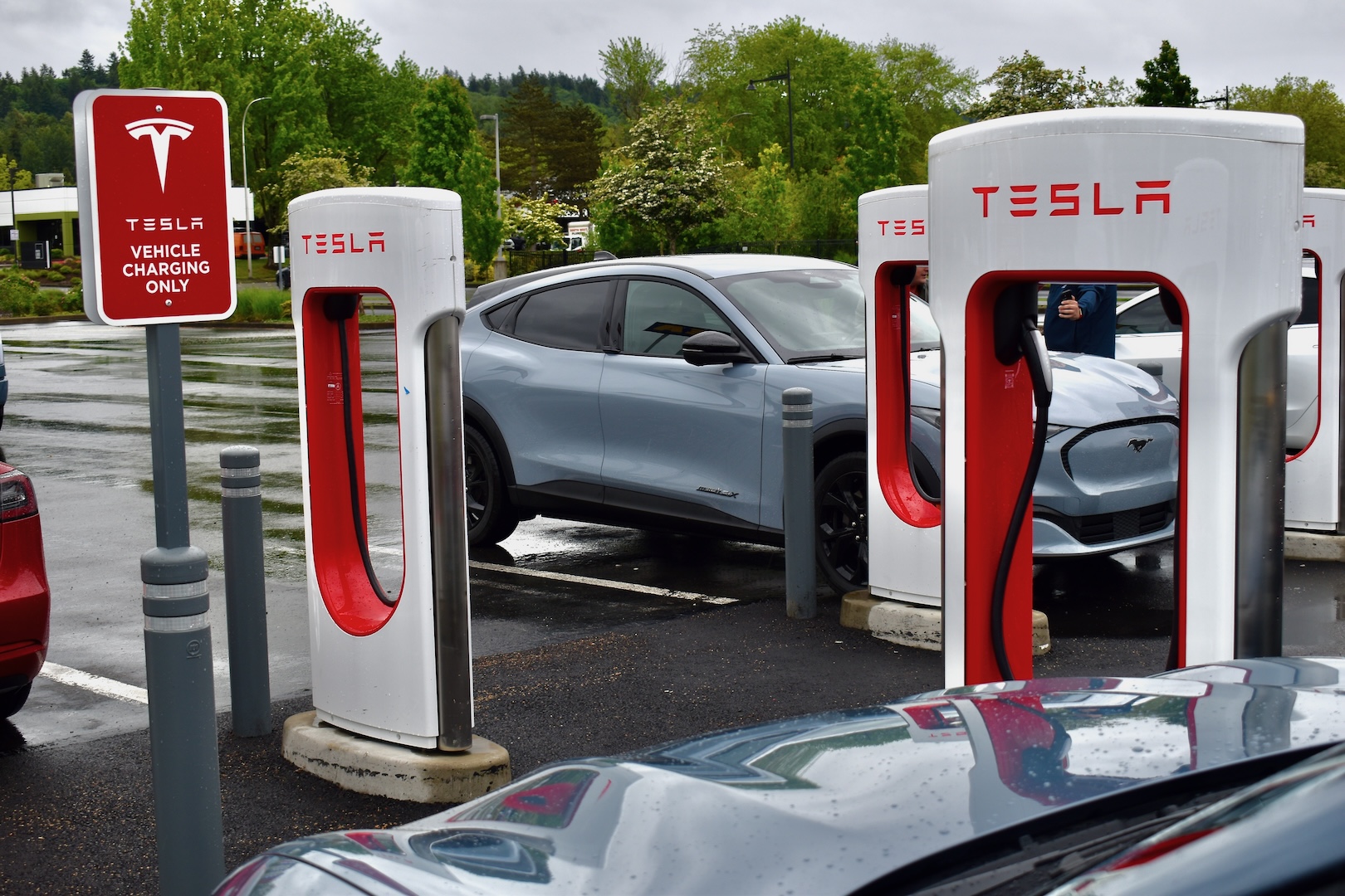 2024 Ford Mustang Mach-Es charging at a Tesla Supercharger station outside Seattle, WA.