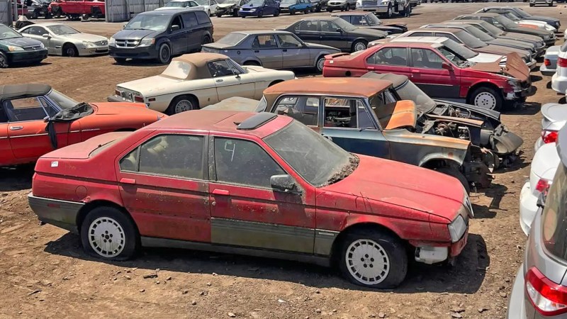 Man’s Collection of Old Alfa Romeos Forcibly Scrapped After Battle With City