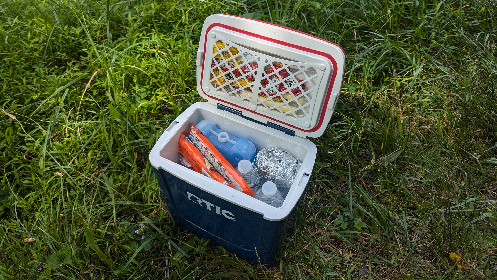 RTIC Road Trip Personal Cooler 