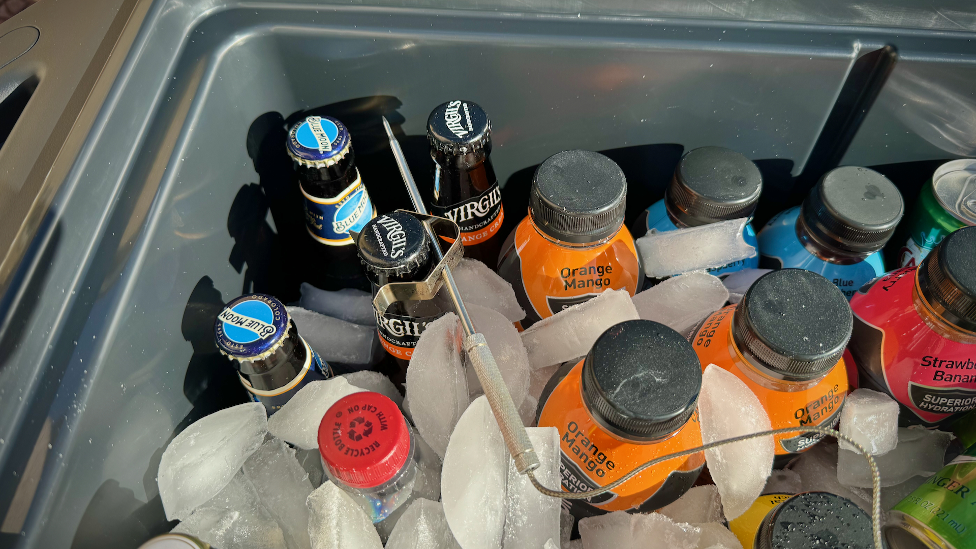 Ninja Frost Vault 50 Quart Cooler Hands-On Review