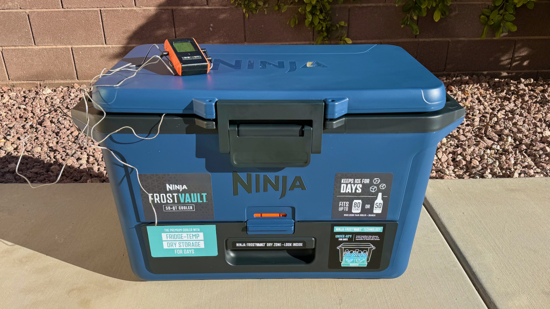 Ninja Frost Vault 50 Quart Cooler Hands-On Review