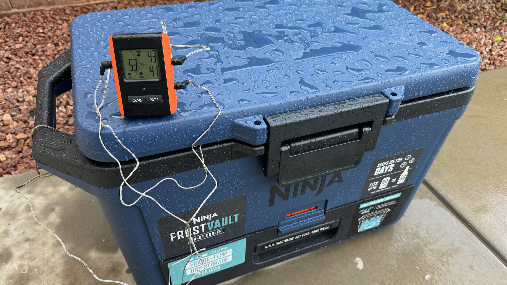 Ninja Frost Vault 50 Quart Cooler Hands-On Review