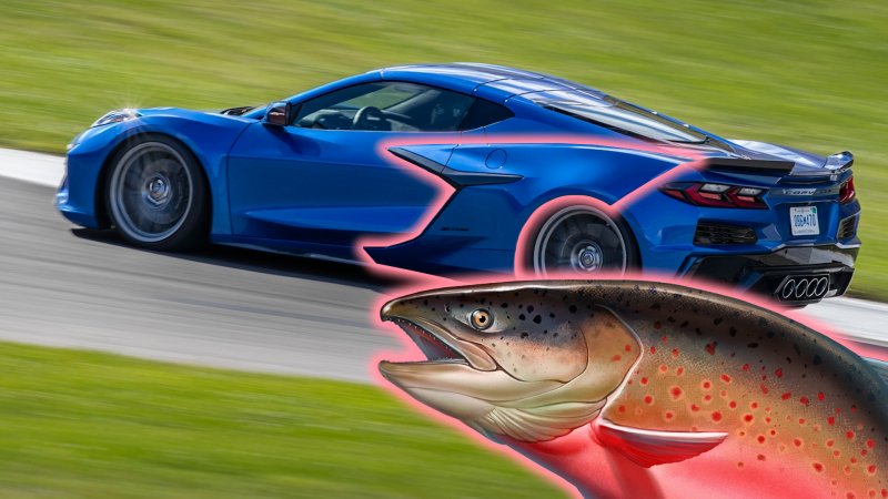 Fun Fact: There’s a Fish on the Side of the Chevy Corvette