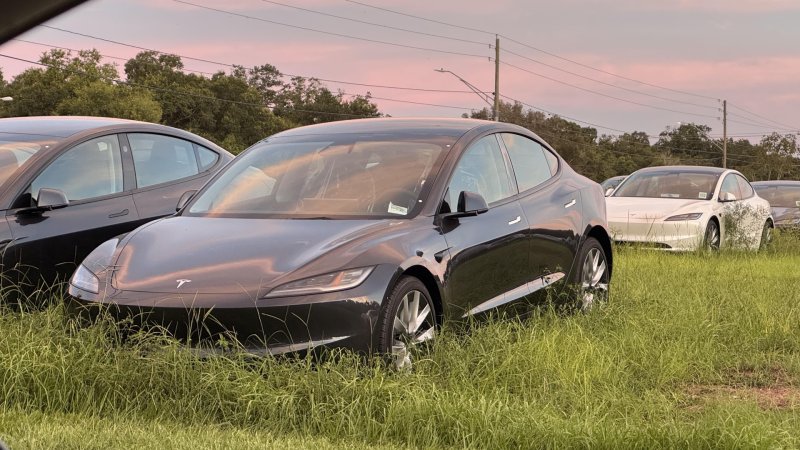 Tesla Is Stocking Unsold, Brand-New Model 3s in an Overgrown Field in Florida