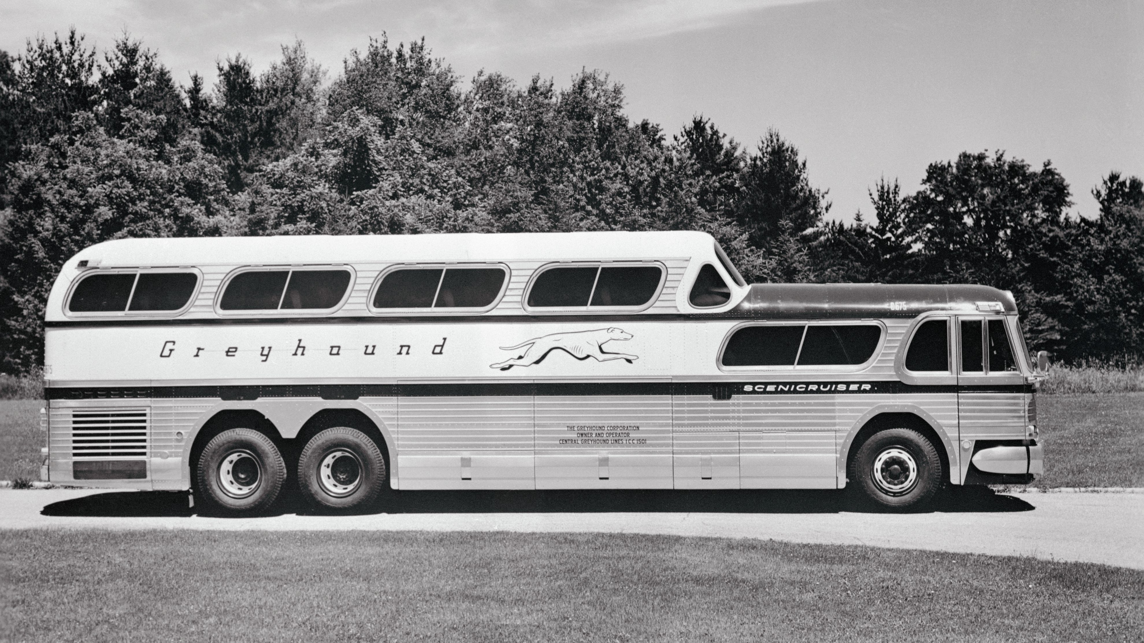 (Original Caption) Luxury Coach to Begin Highway Service on Greyhound through and express routes across the country is this spacious new Scenicruiser, the first of 500 being produced by GMC Truck and Coach Division of General Motors Corporation. Offering the ultimate in comfort and pleasure, the air-conditioned 43 passenger Scenicruiser gives passengers unparalleled vision from an elevated rear deck above the level of passing traffic. Three-hundred horsepower, developed by twin diesel engines, power the 15 ton luxury liner while passengers ride smoothly on 12 columns of air which cushion the coach with GMC-developed air suspension ride.