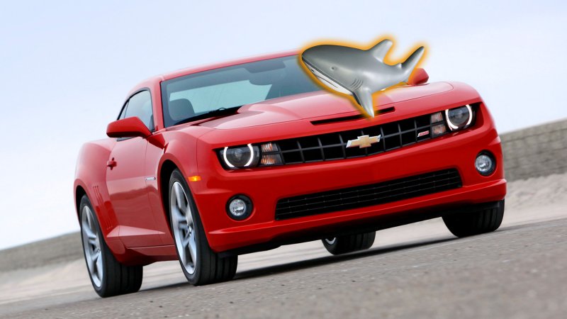 Image of a red Chevy Camaro with a toy shark superimposed.