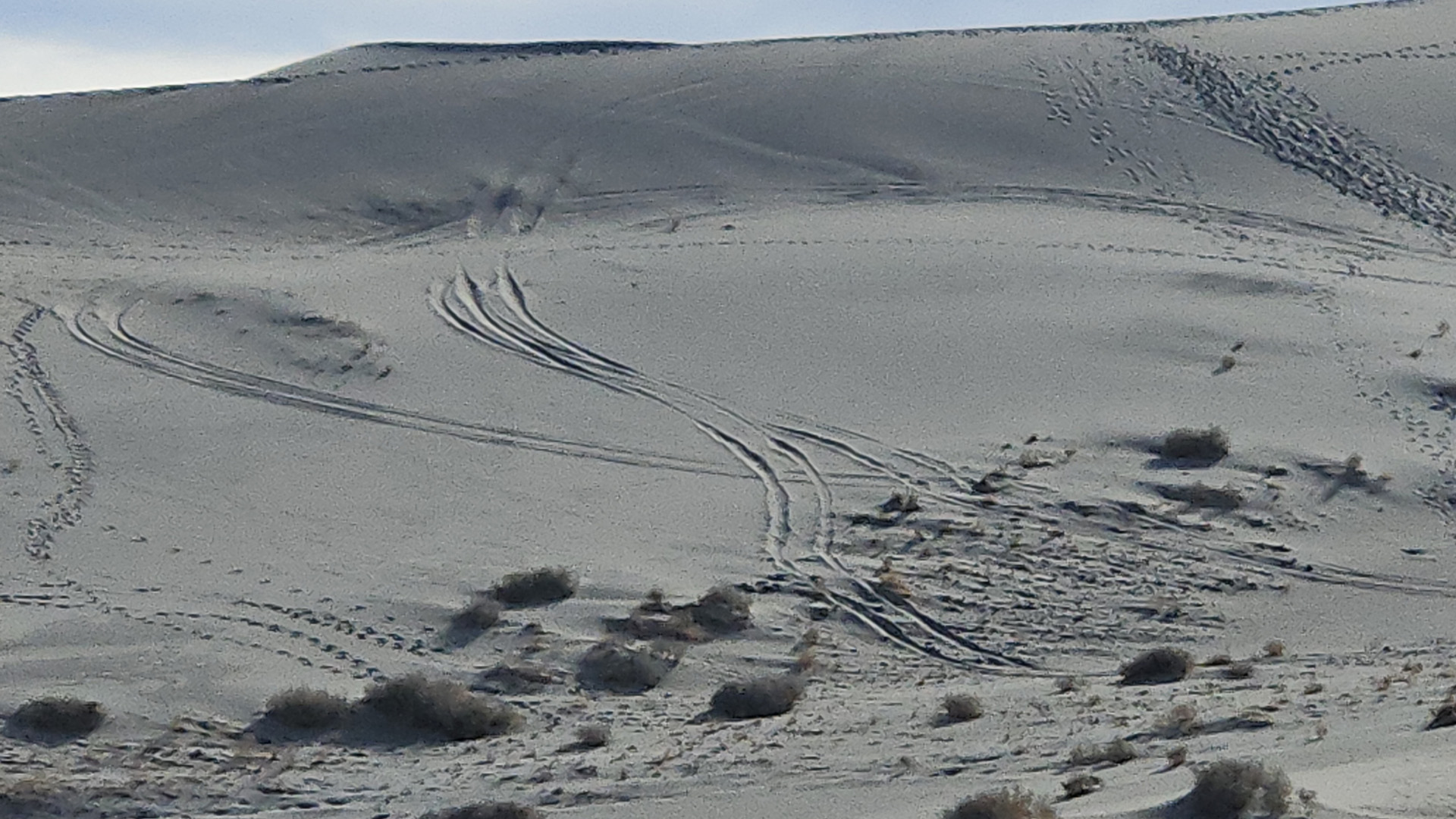 Morons Are Driving Where They Shouldn’t in Death Valley Again