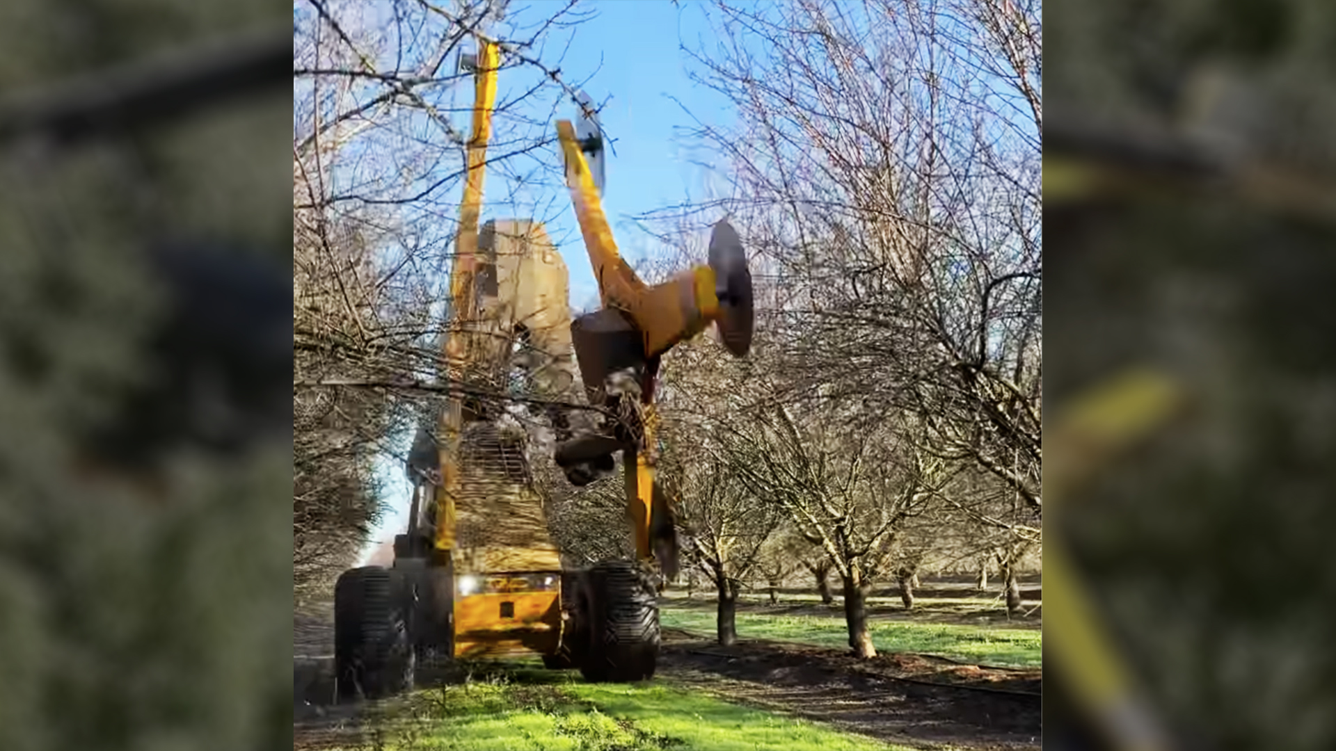 This Industrial Tree Trimming Vehicle Is a Whirling Death Machine