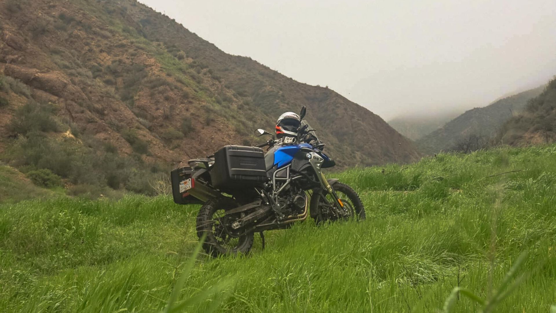 A BMW F800GS in a grassy field.