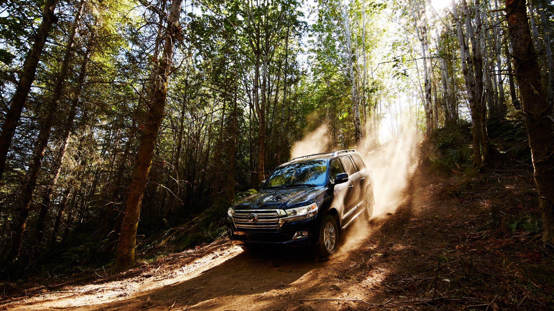 A 2020 Toyota Land Cruiser barrels down a dirt hill.