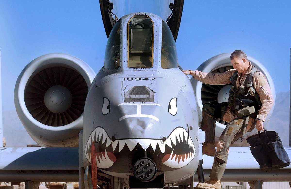 a10warthogs_art_2.jpg