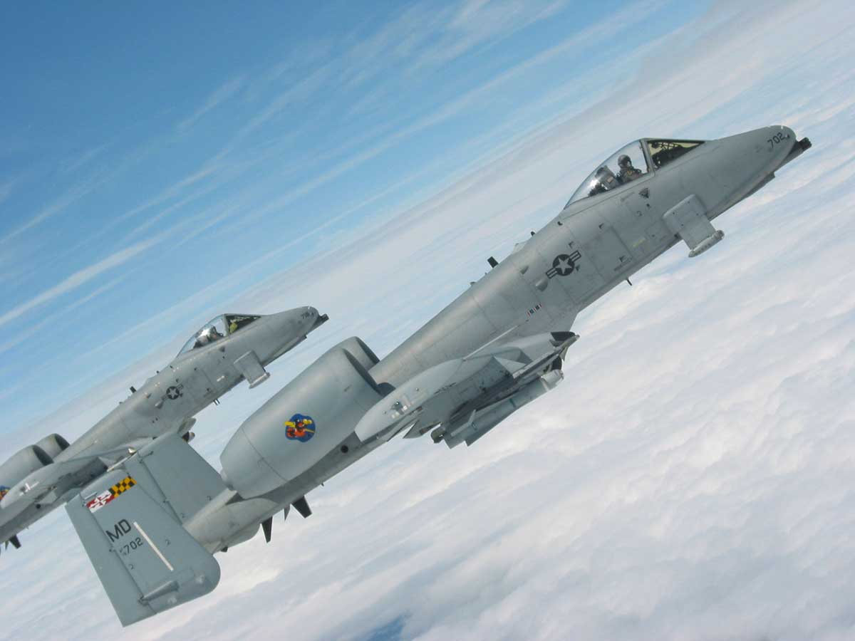 a10warthogs_art_6.jpg