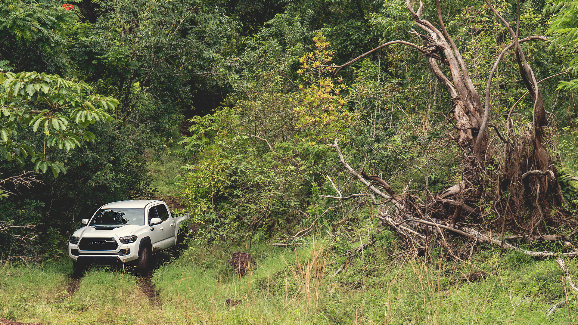 cantle_2017_toyota_tacoma_trd_pro_002.jpg