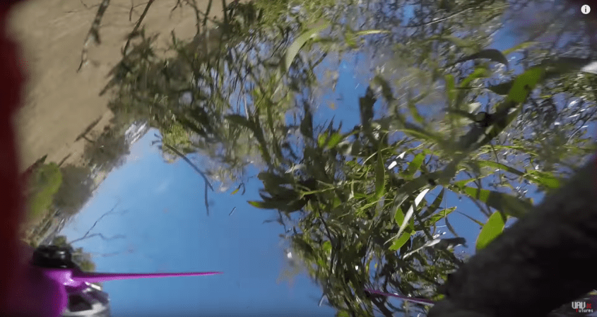 Watch a Tree Miraculously Save a Racing Drone From a High-Speed Crash