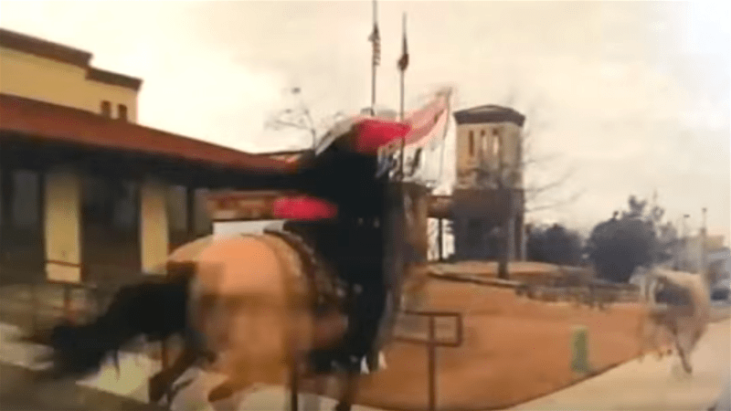 Watch Cowboys and Cops Chase Down a Runaway Steer in Texas