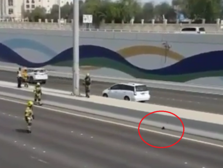 Watch Abu Dhabi Police Close a Highway to Rescue a Kitty