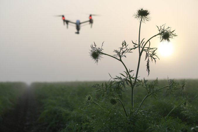 Texas Threatens Jail Time for Flying Drones Over ‘Critical Infrastructure’