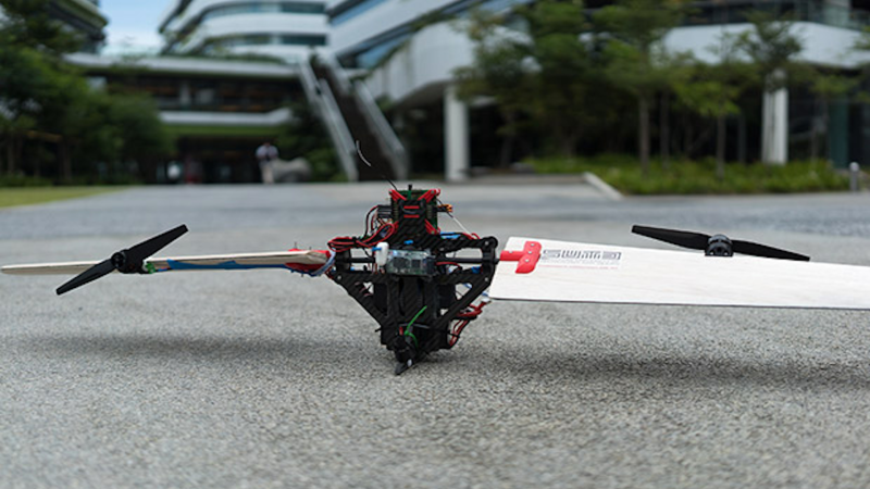 THOR Transformer Drone Can Hover and Cruise Equally Well