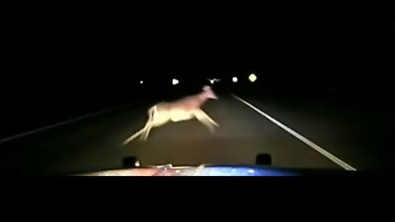 Watch This Sheriff’s Deputy Hit a Deer at 114 MPH While Responding to a Call