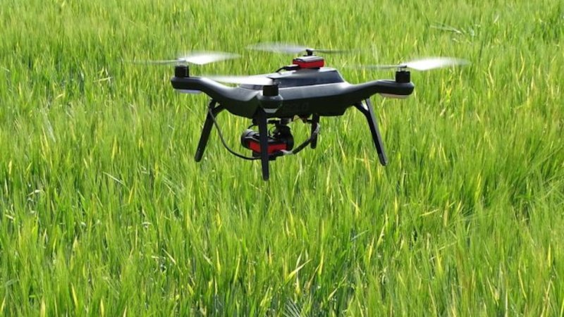 World’s First Hands-Free Crop Planted, Grown, and Harvested in U.K. via Drone Tech