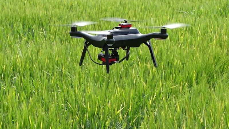 World’s First Hands-Free Crop Planted, Grown, and Harvested in U.K. via Drone Tech