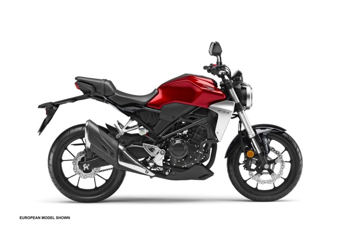 The New Naked Honda CB300R Motorcycle Confirmed for the U.S.